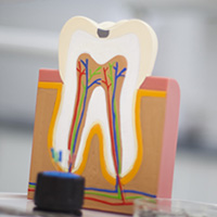 Dental Diagnoses & GP